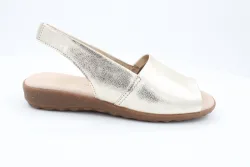 Flex & Go Find Harmony